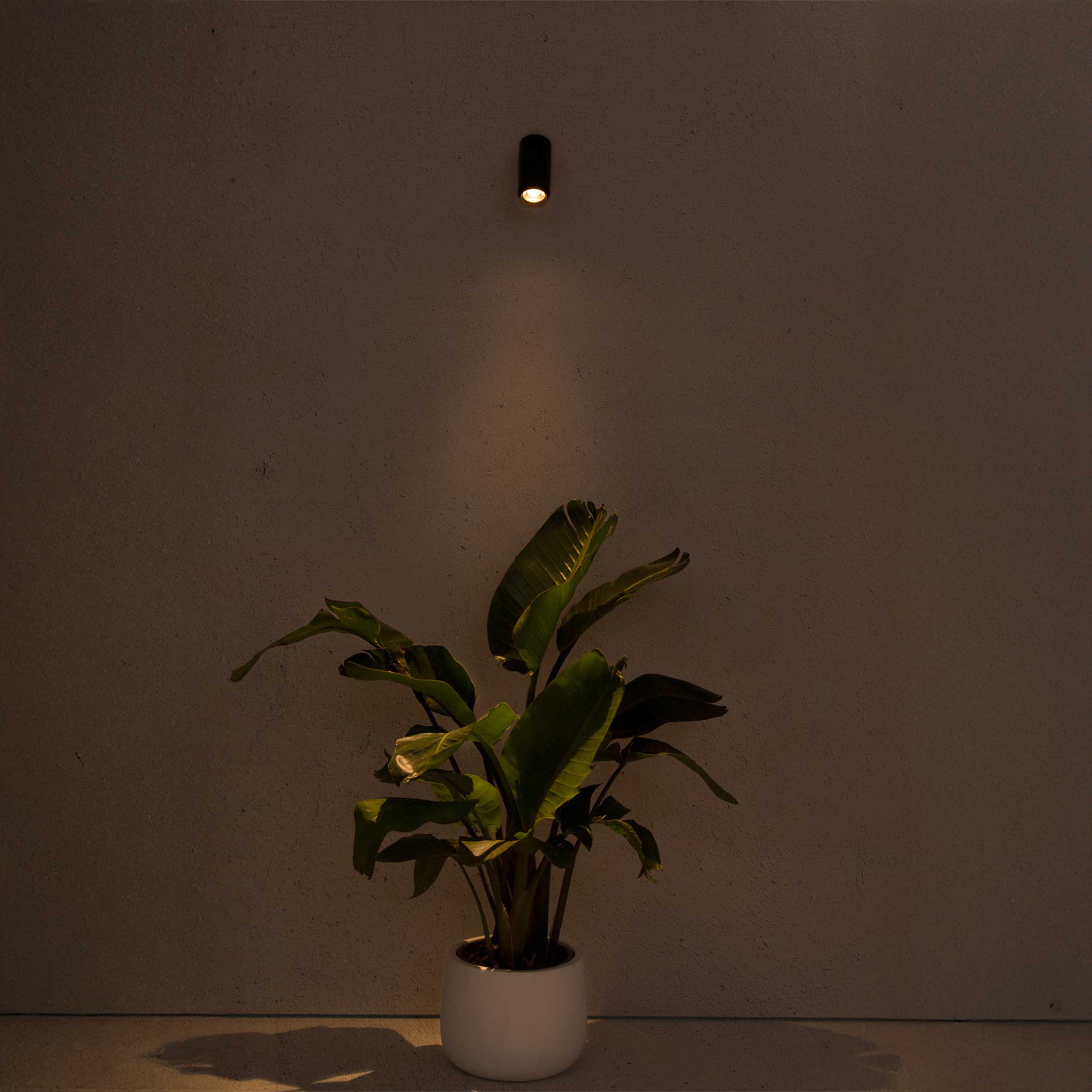Faro Plom LED wall mounted exterior adjustable light IP64