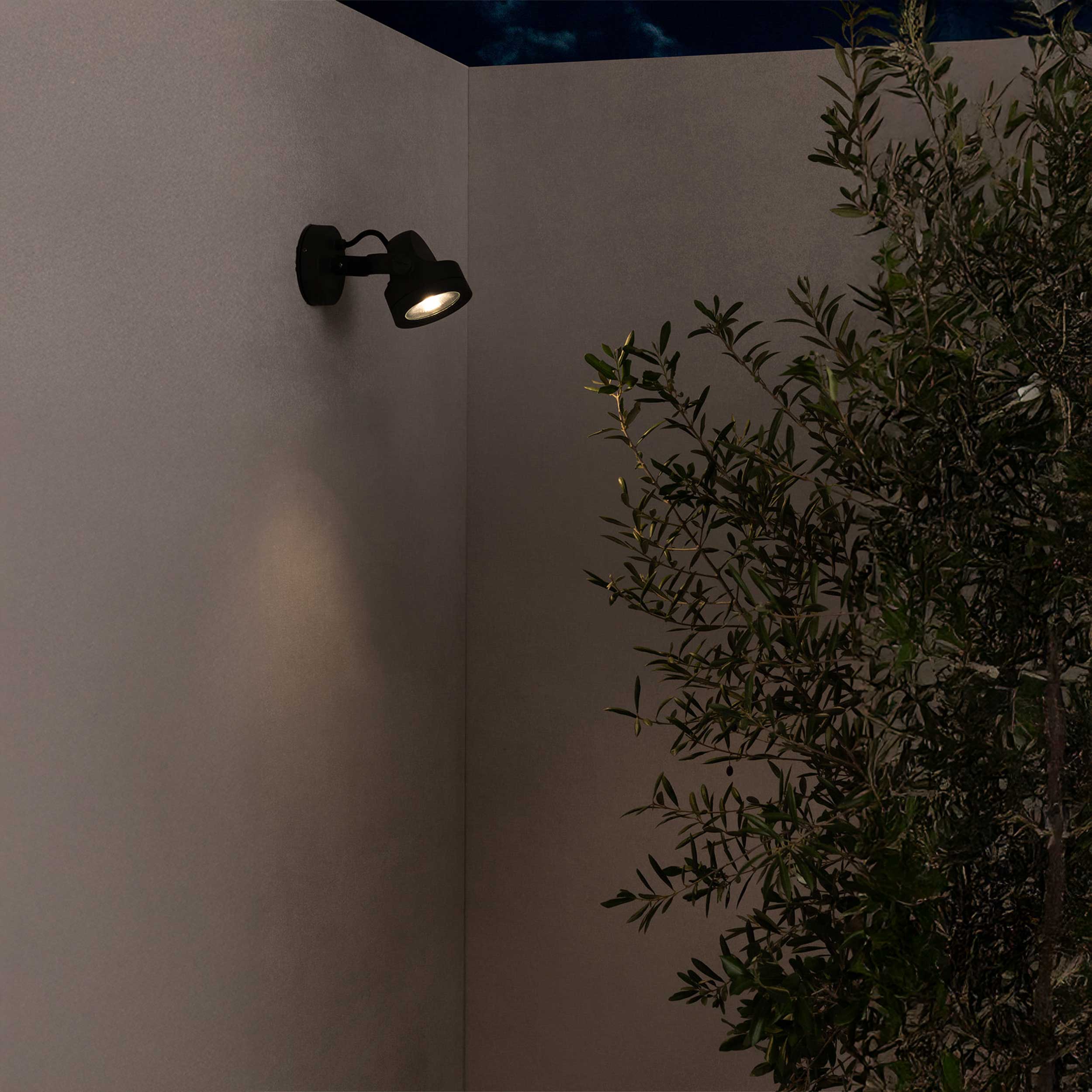 Faro Alfa LED exterior wall light IP65