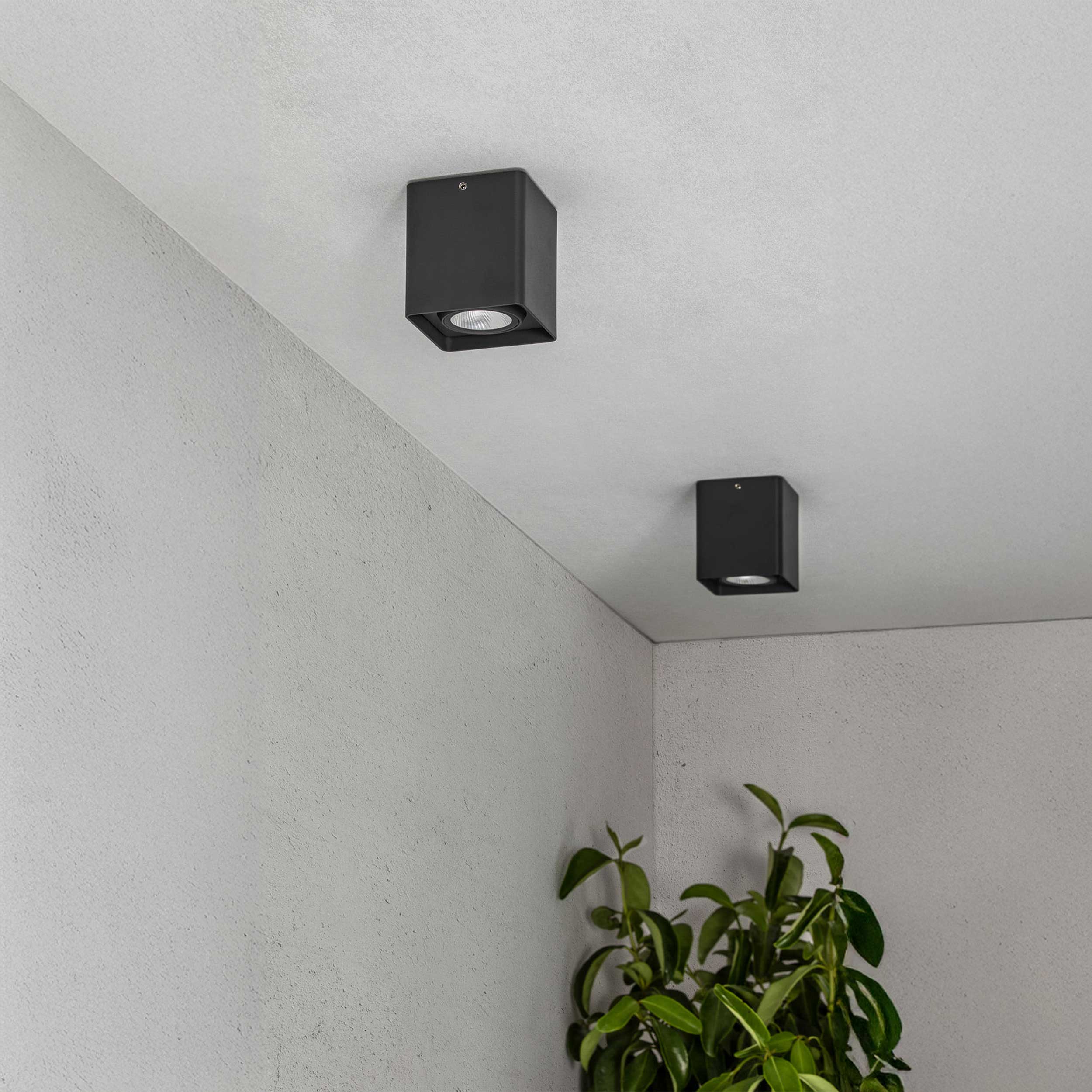Faro Tami LED exterior light IP54