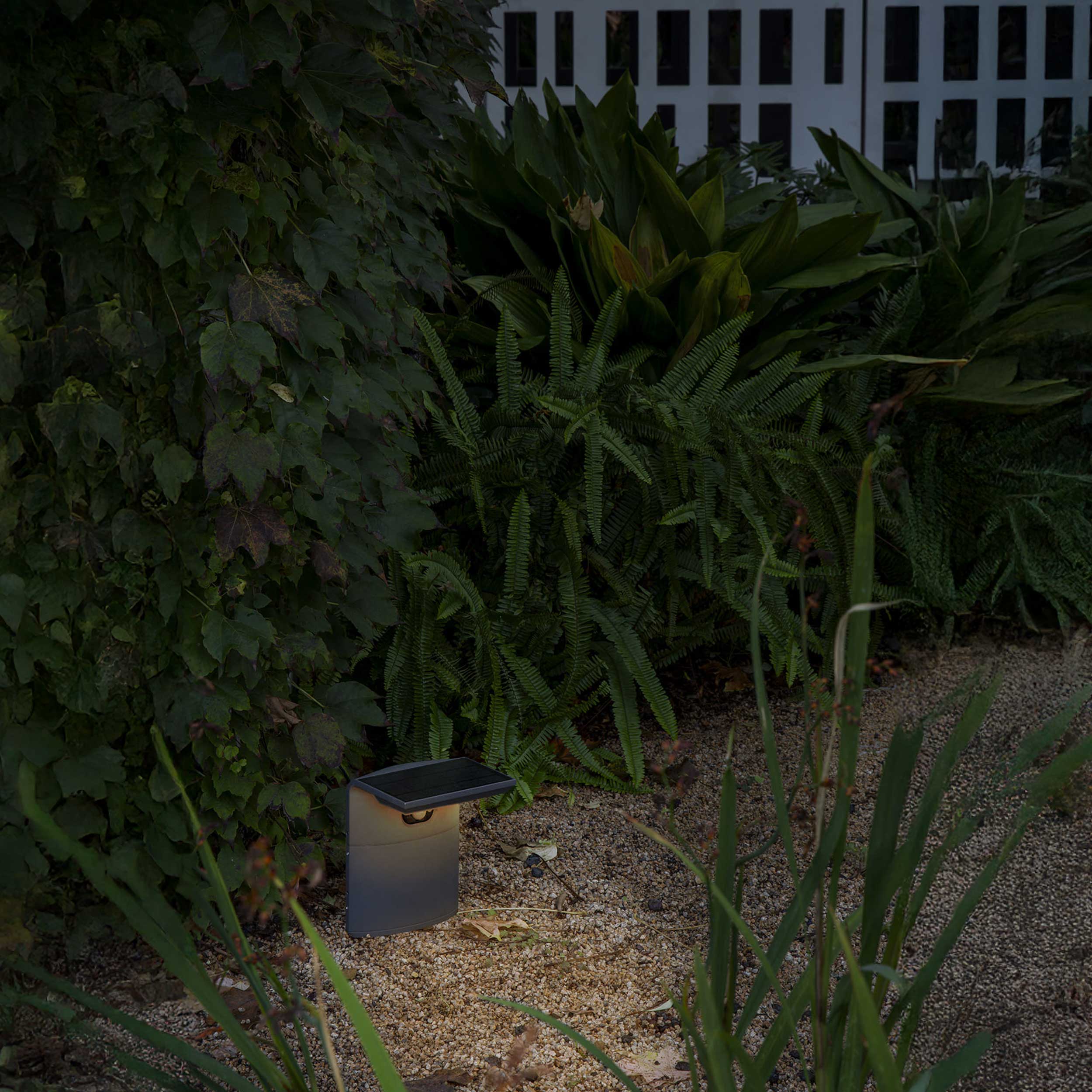 Faro Luma LED column exterior light IP65