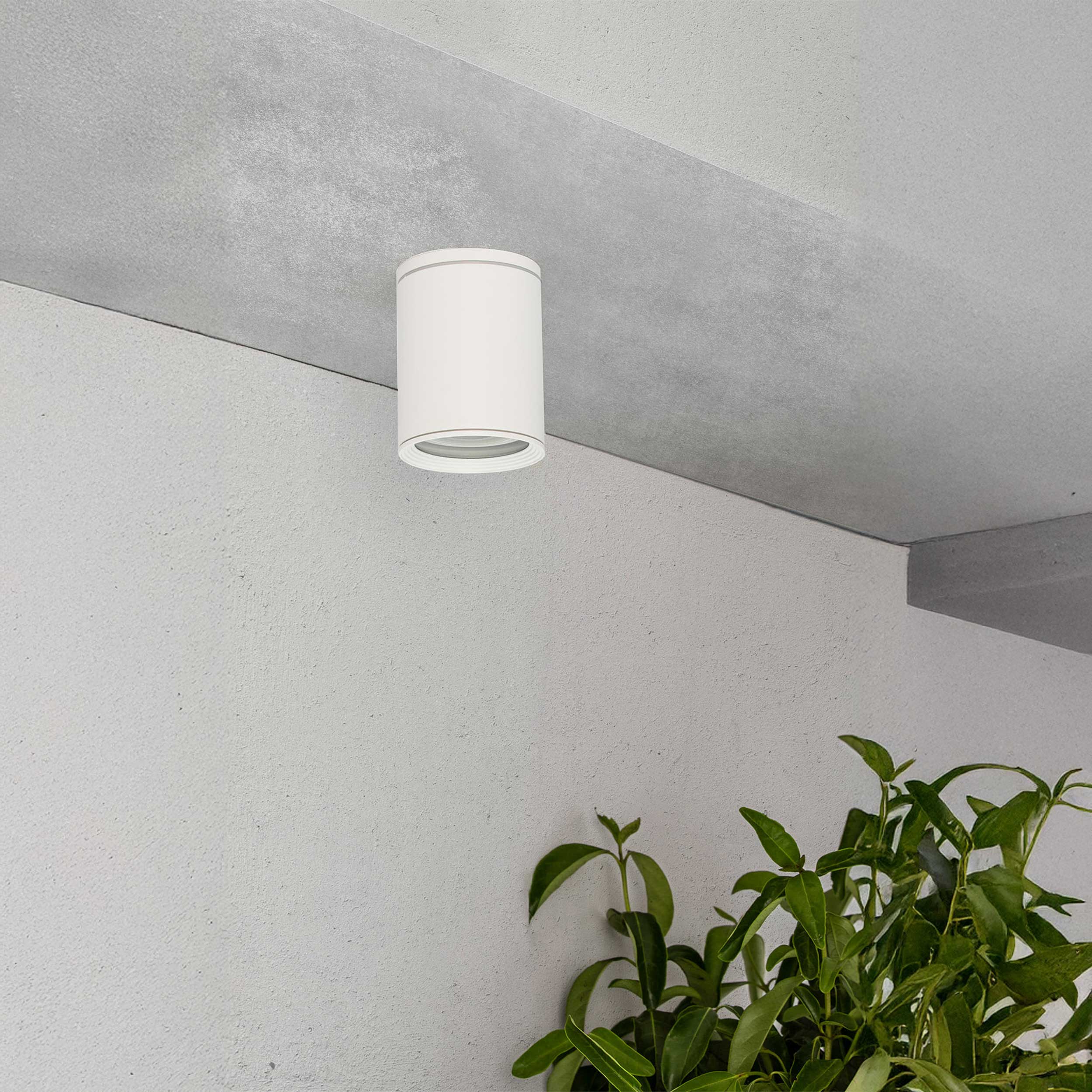 Faro Tasa E27 exterior ceiling light IP44