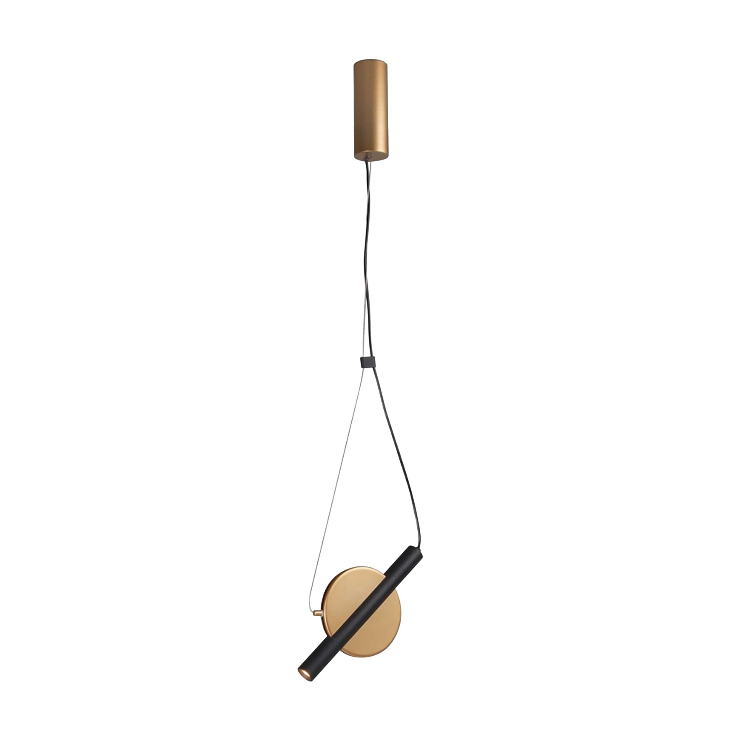 Maytoni Enigma LED pendant light
