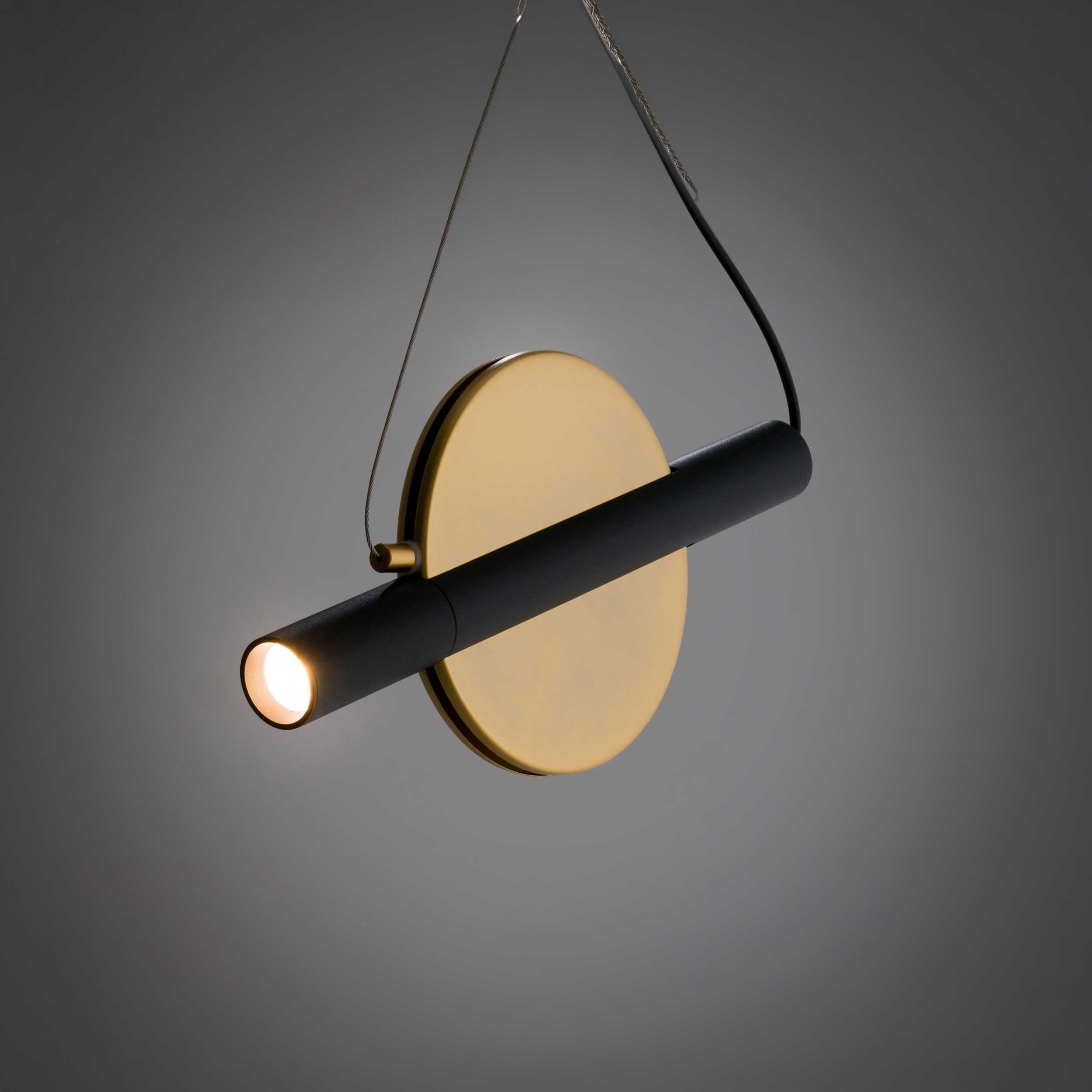 Maytoni Enigma LED pendant light
