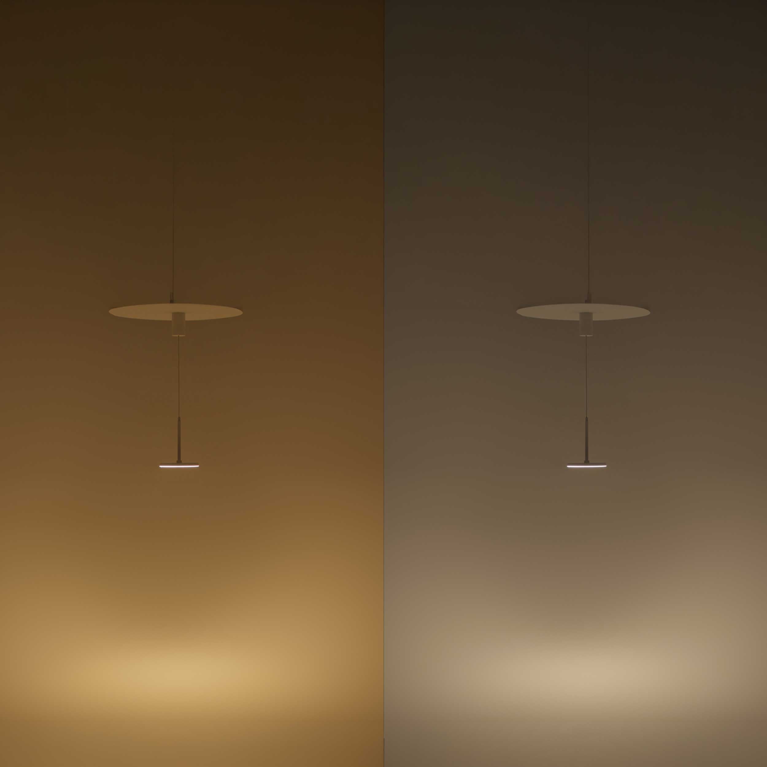 Maytoni Plato LED pendant light