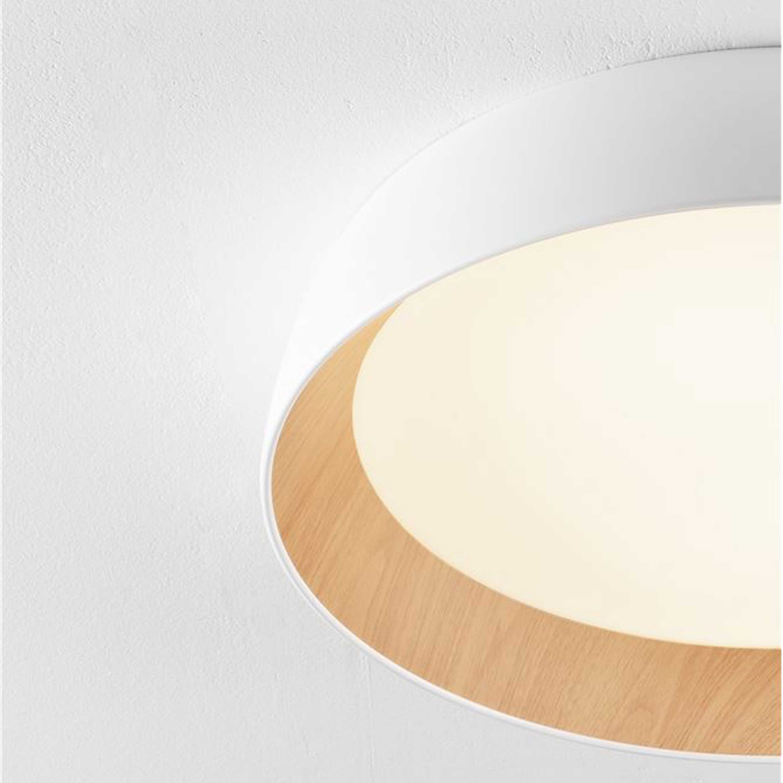 Nova Luce Sigi LED ceiling light