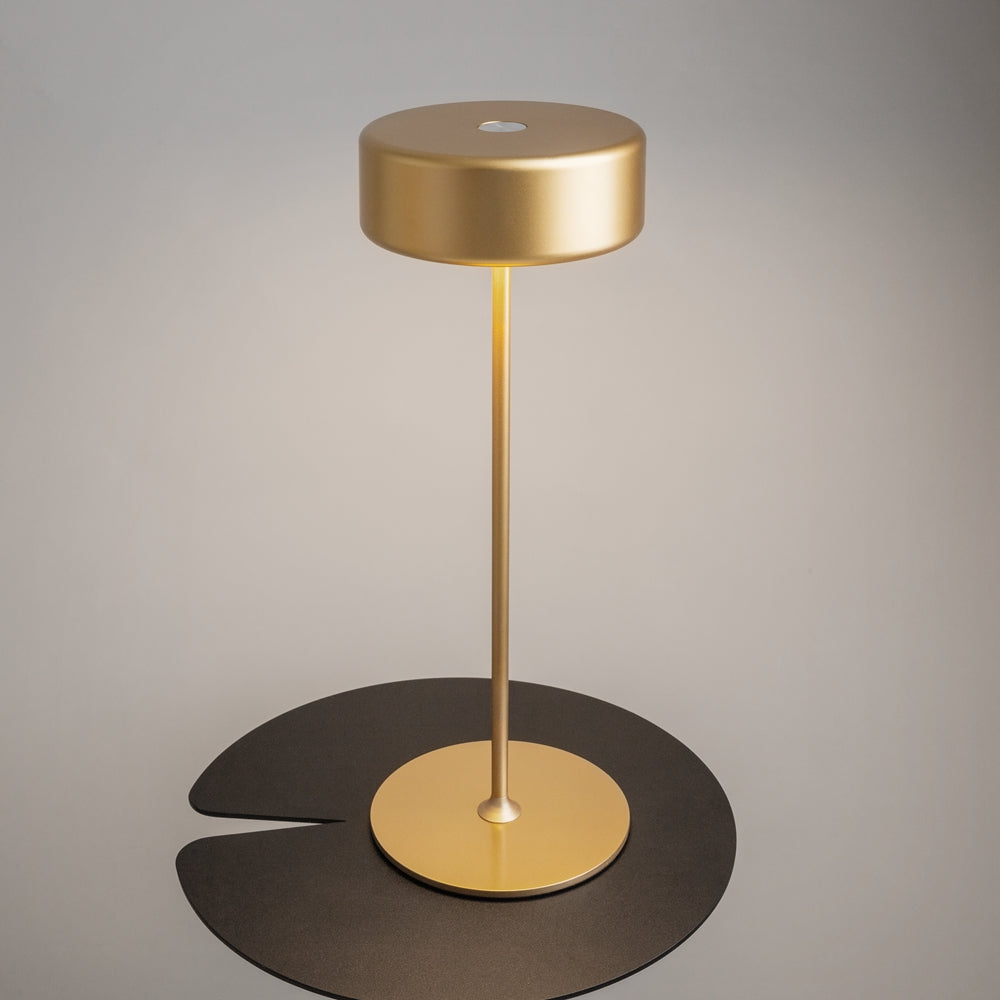 Maytoni AI Collaboration LED portable table light