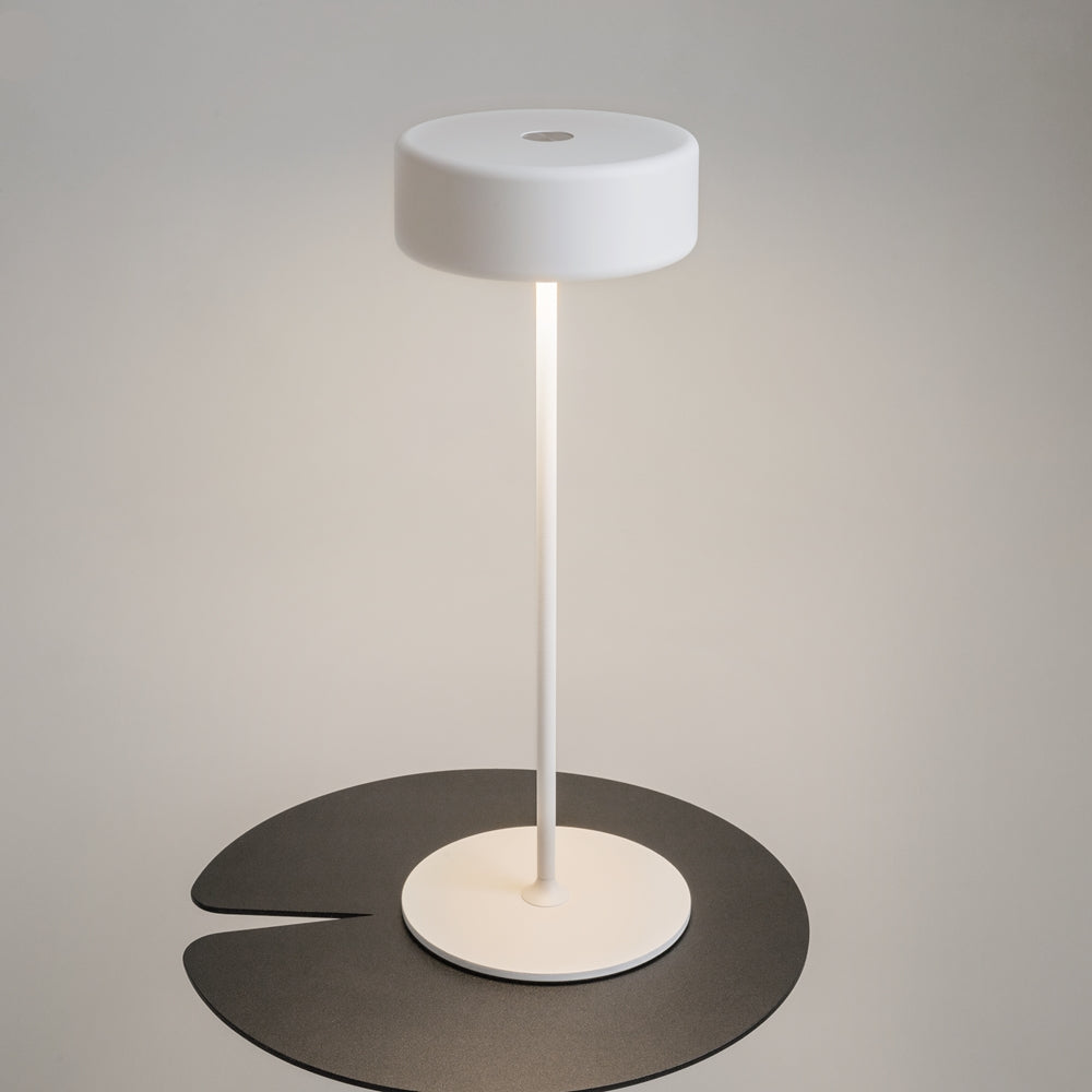Maytoni AI Collaboration LED portable table light