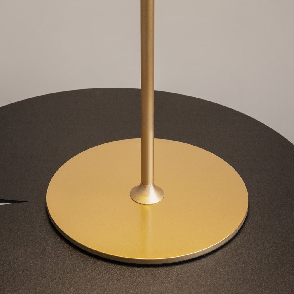 Maytoni AI Collaboration LED portable table light