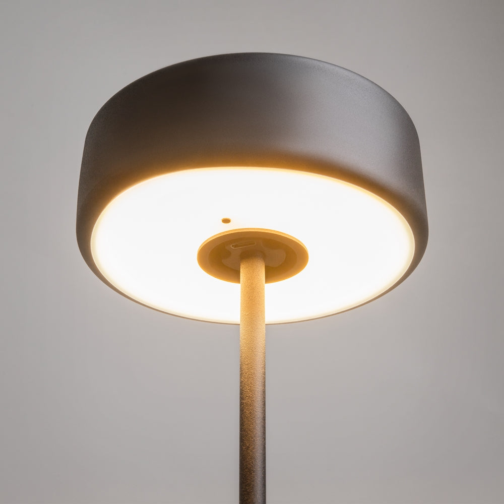 Maytoni AI Collaboration LED portable table light