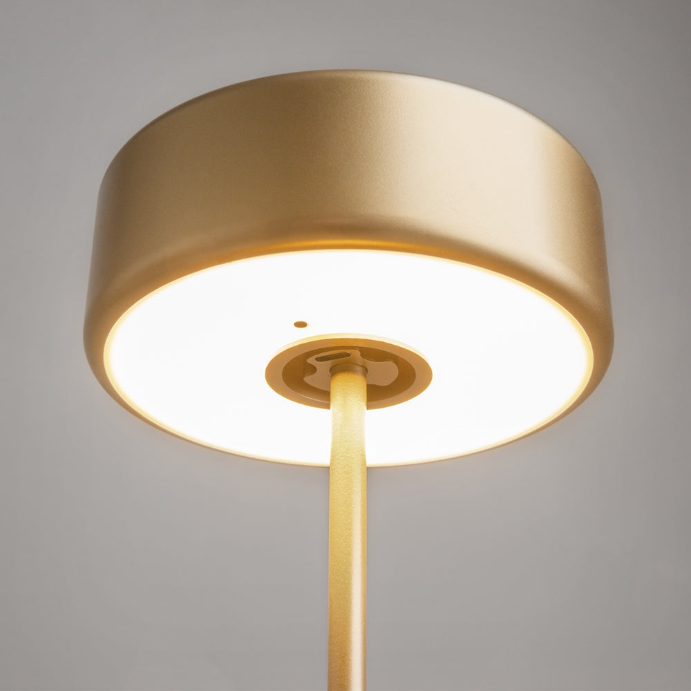 Maytoni AI Collaboration LED portable table light