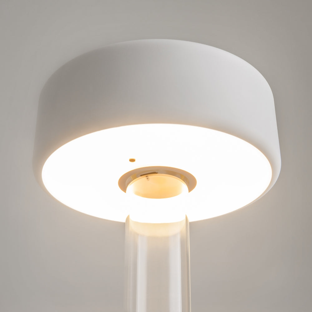 Maytoni AI Collaboration LED portable table light