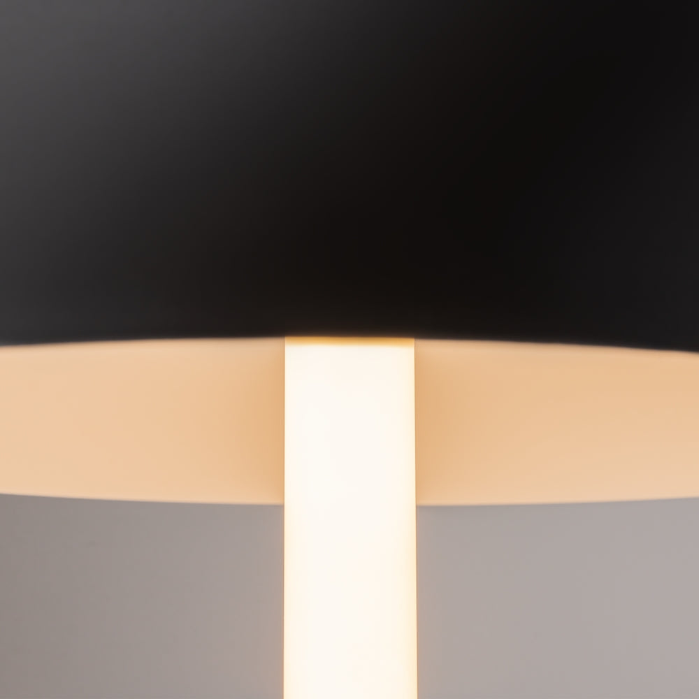 Maytoni Ray LED table light