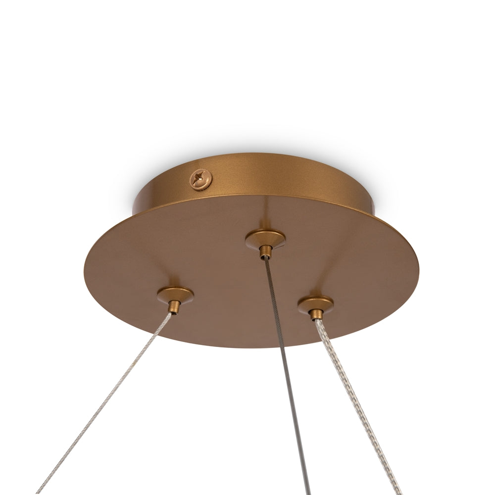 Maytoni Balance G9 pendant light