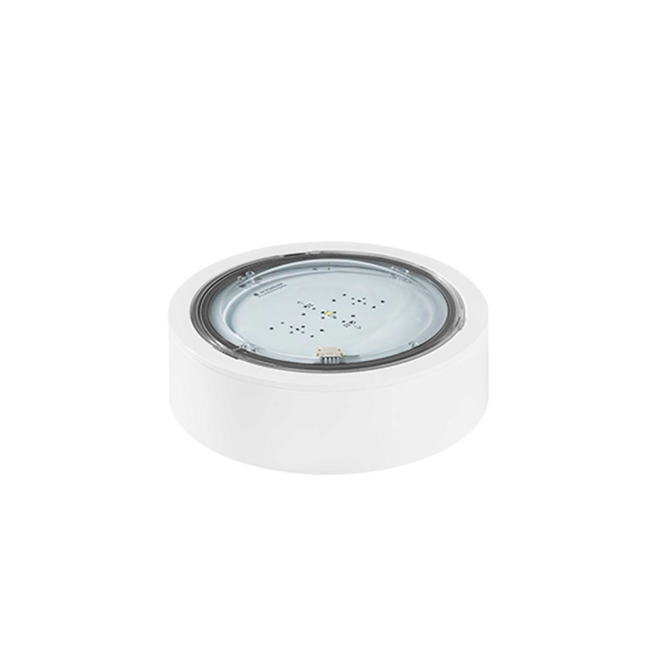 TM.ITECH M1 60 NM W anti-panic emergency lighting IP65