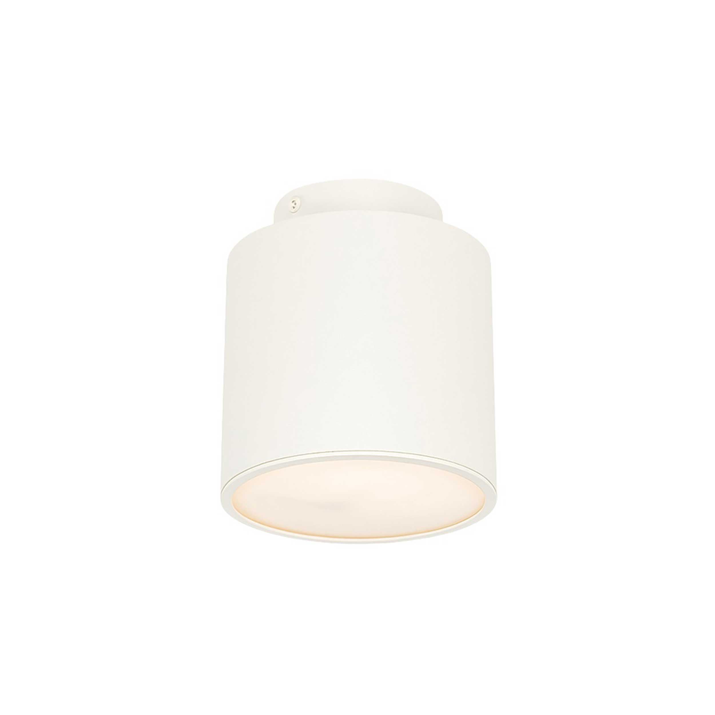 VK Light Eos E27 ceiling light