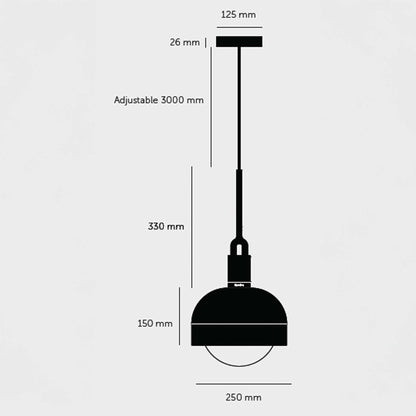 Buster & Punch Forked Globe Shade E27 závěsné svítidlo