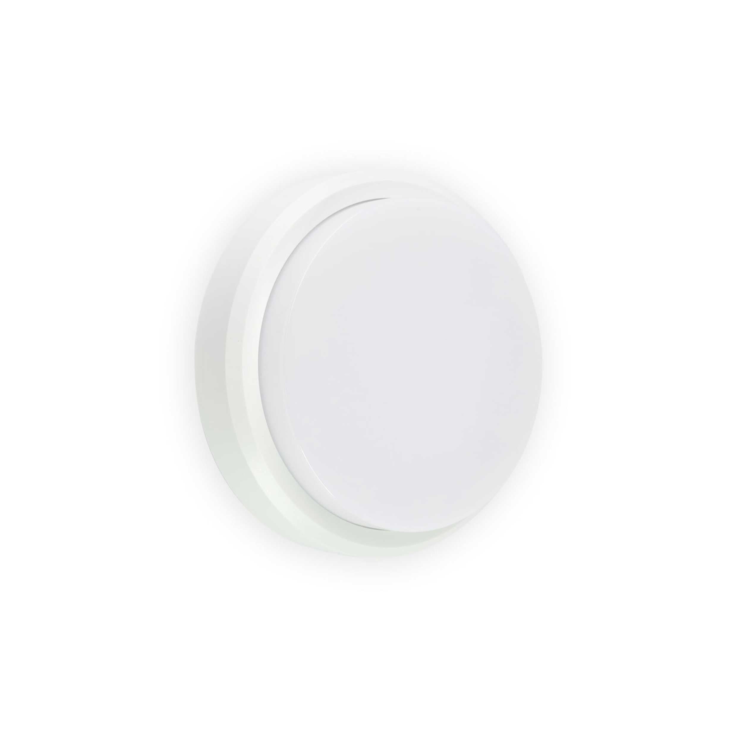 Faro Tom LED exterior wall light IP65