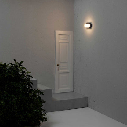 Faro Fred LED exterior wall light IP65