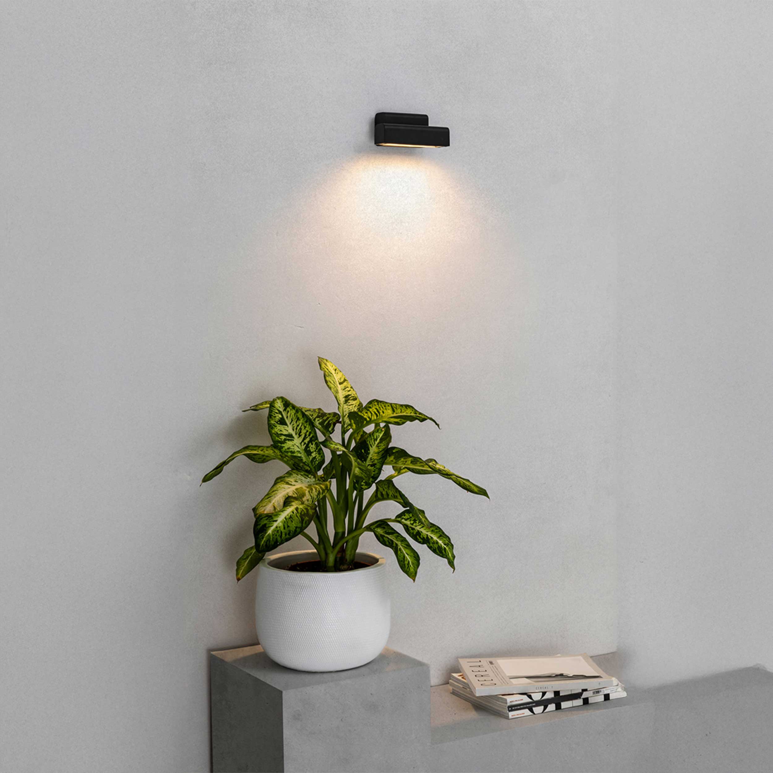 Faro Balic LED exterior wall light IP65