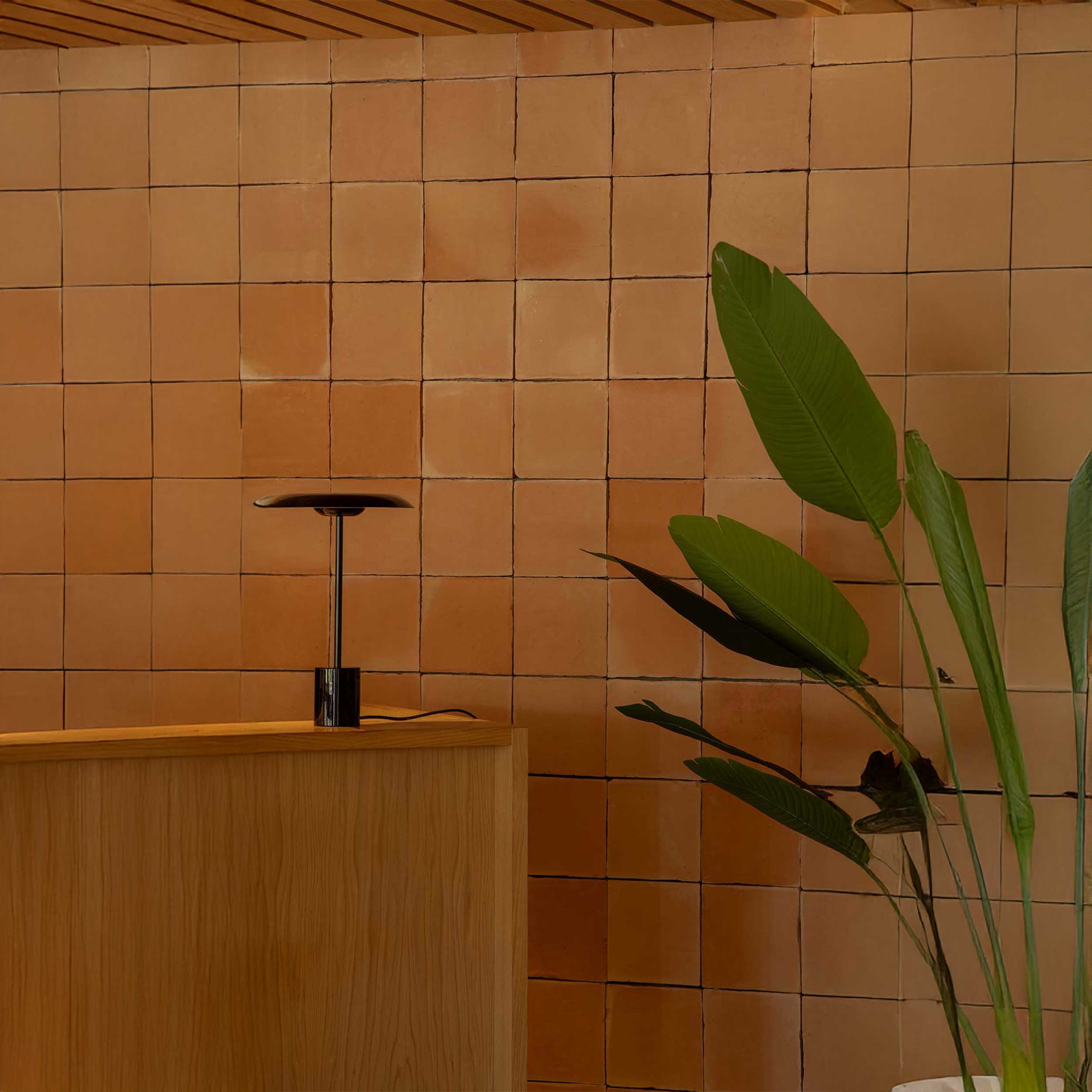 Faro Hoshi LED Dimmable table light