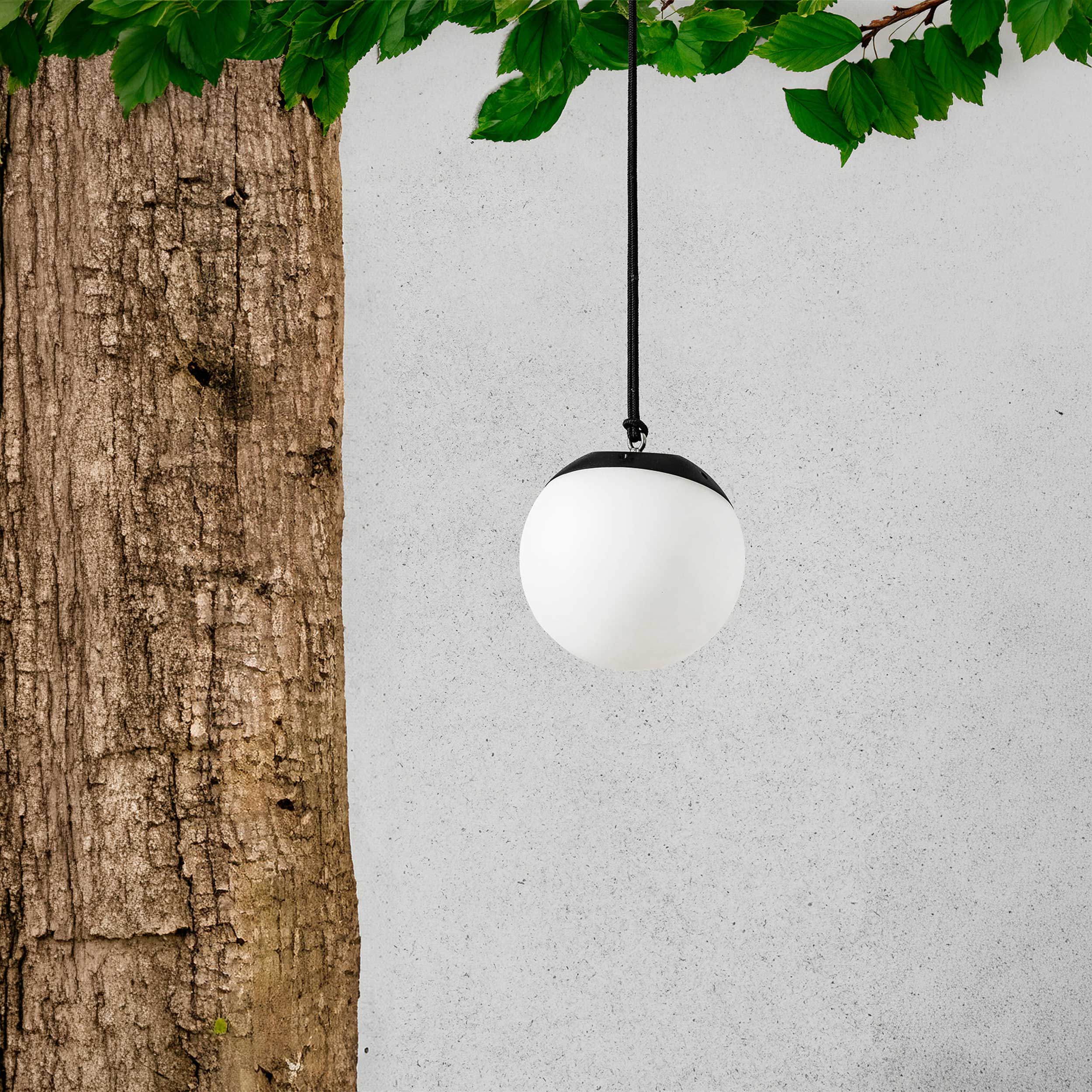 Faro Cata LED table light