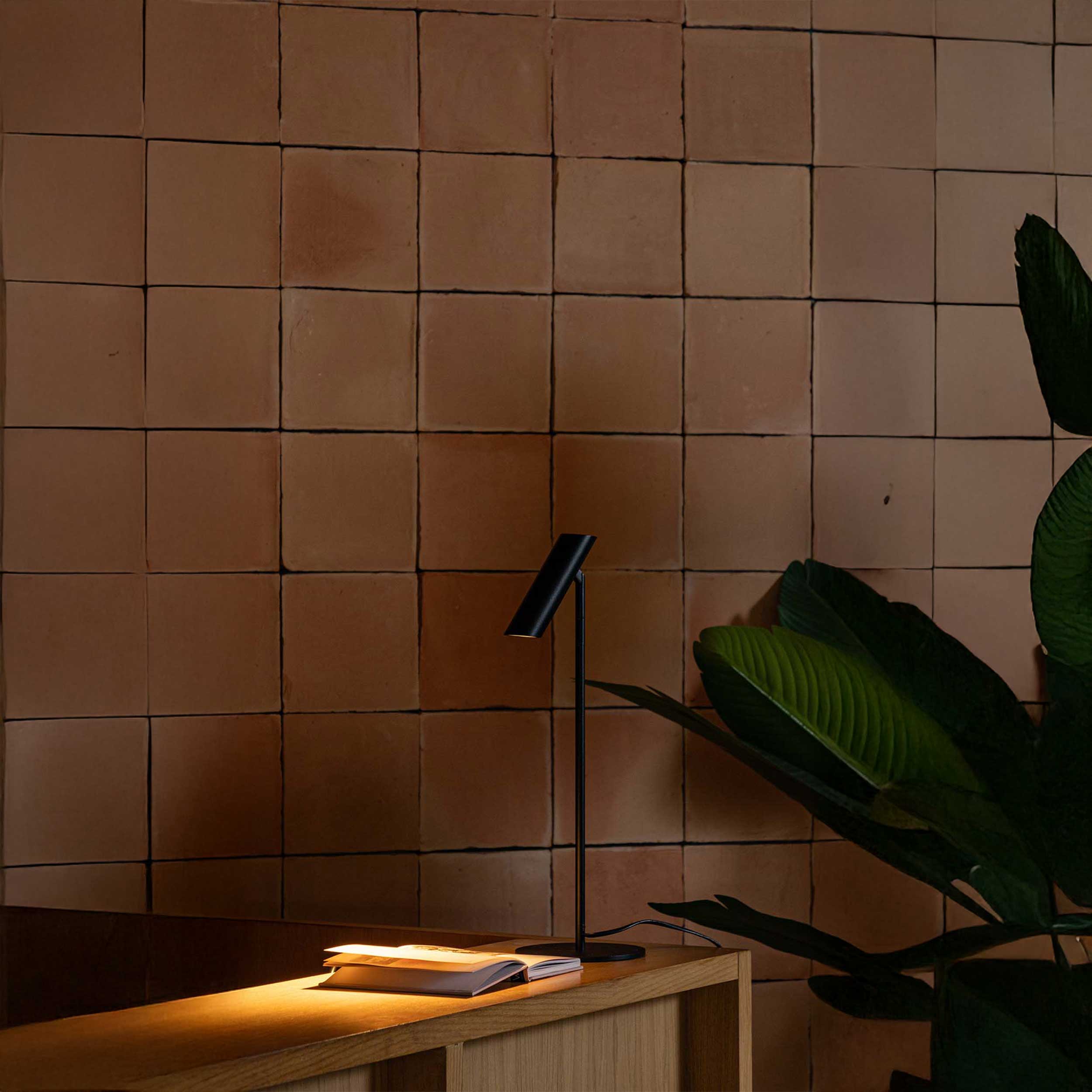 Faro Leo LED table light