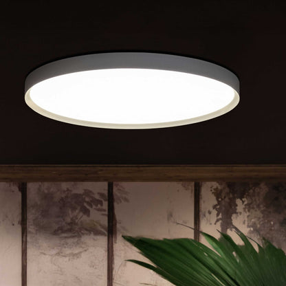 Lombardo Flo T LED downlight IP20 IK06