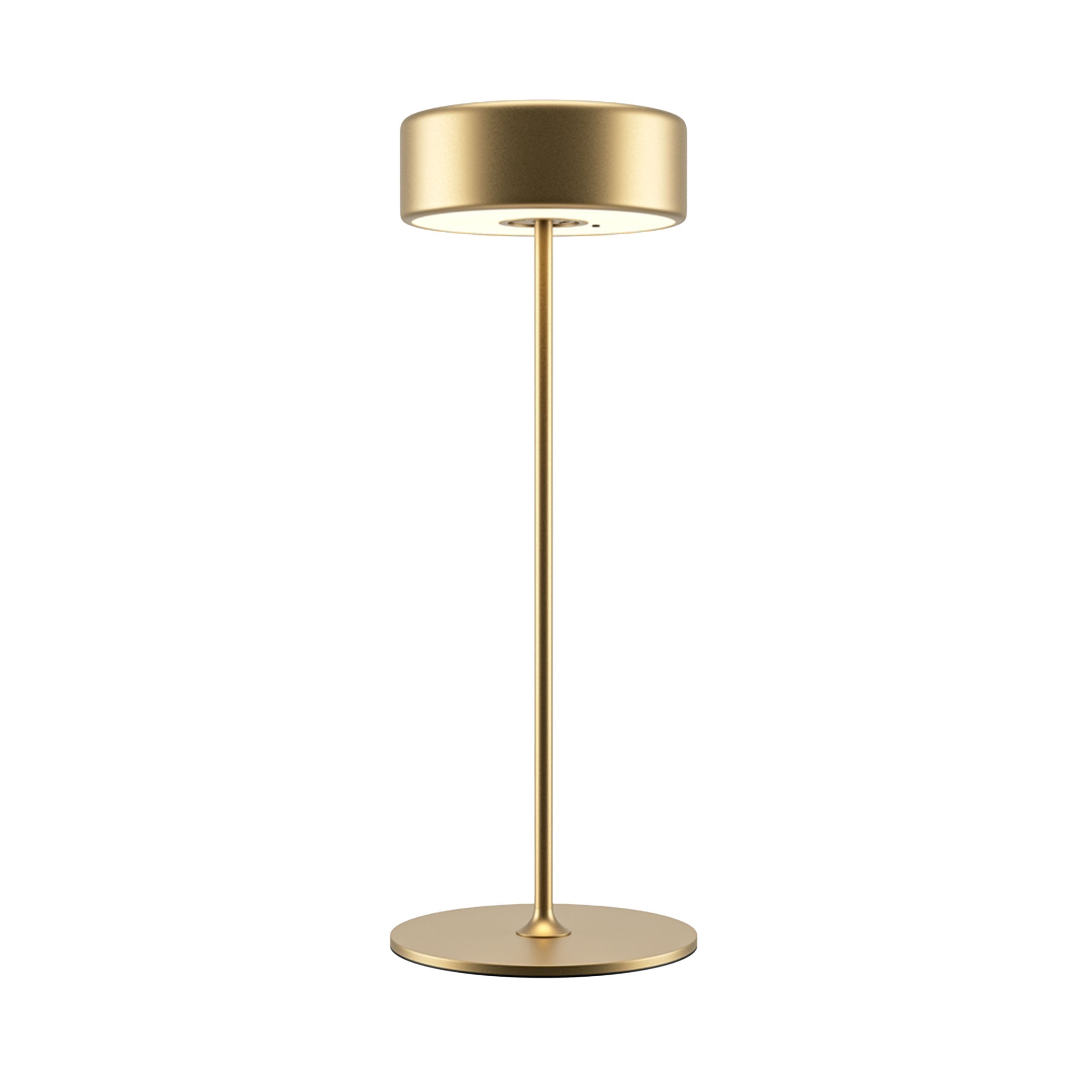 Maytoni AI Collaboration LED portable table light