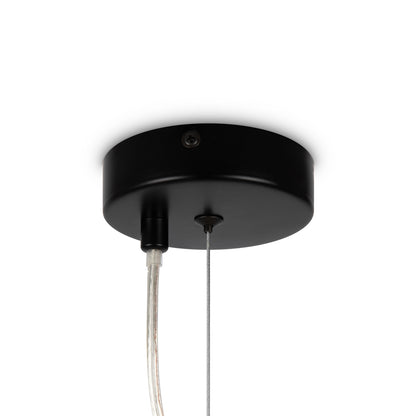 Maytoni Dallas G9 pendant light