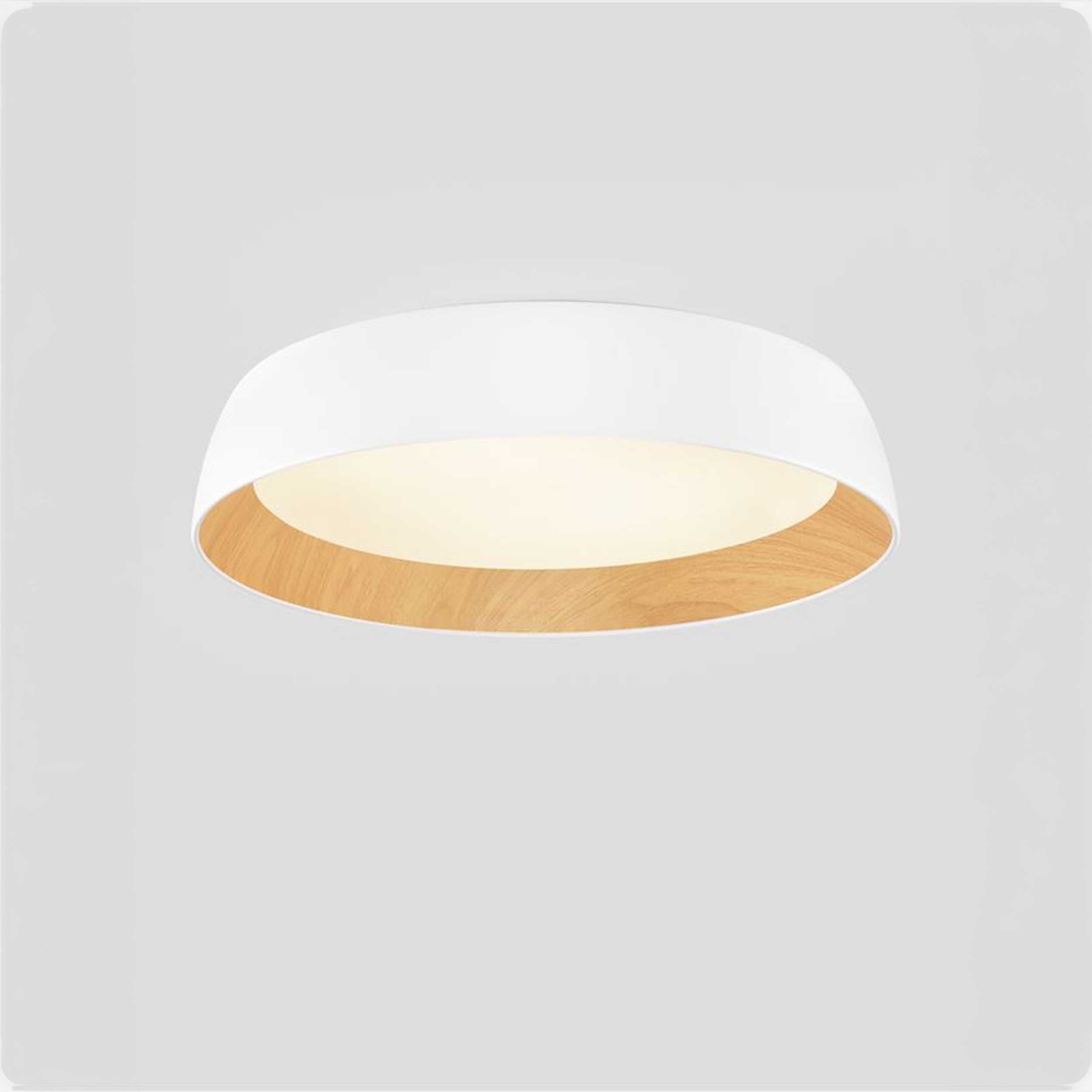 Nova Luce Sigi LED ceiling light