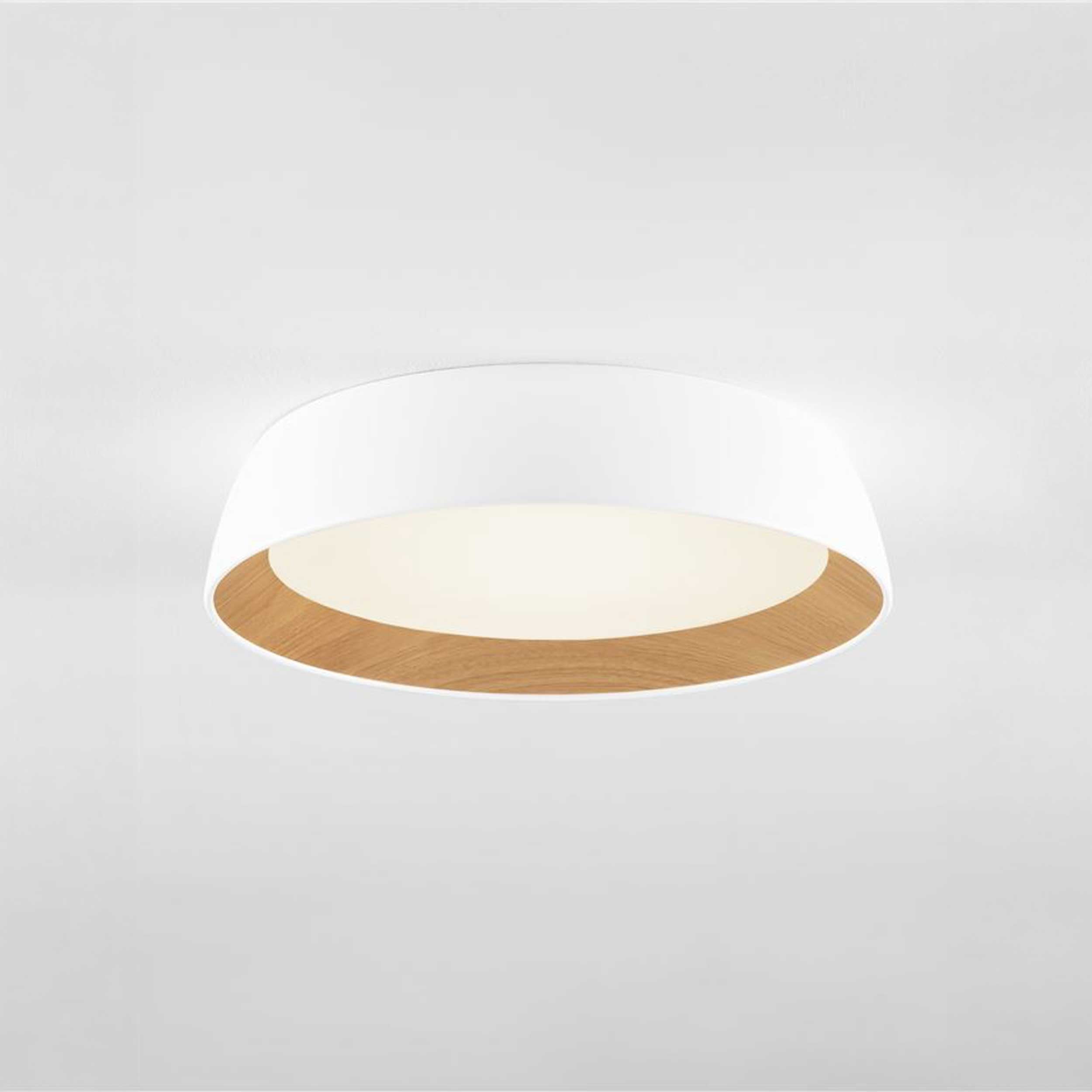 Nova Luce Sigi LED ceiling light