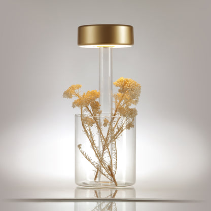 Maytoni AI Collaboration LED portable table light