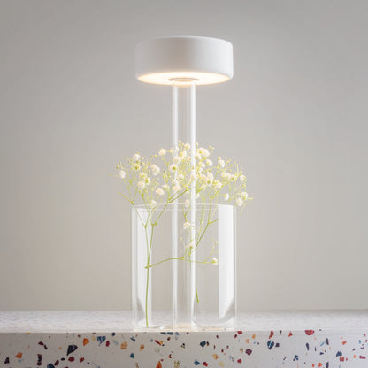 Maytoni AI Collaboration LED portable table light