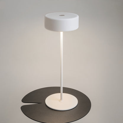 Maytoni AI Collaboration LED portable table light