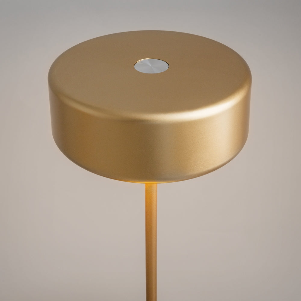 Maytoni AI Collaboration LED portable table light