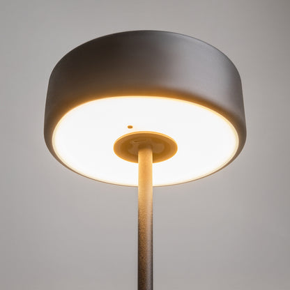 Maytoni AI Collaboration LED portable table light