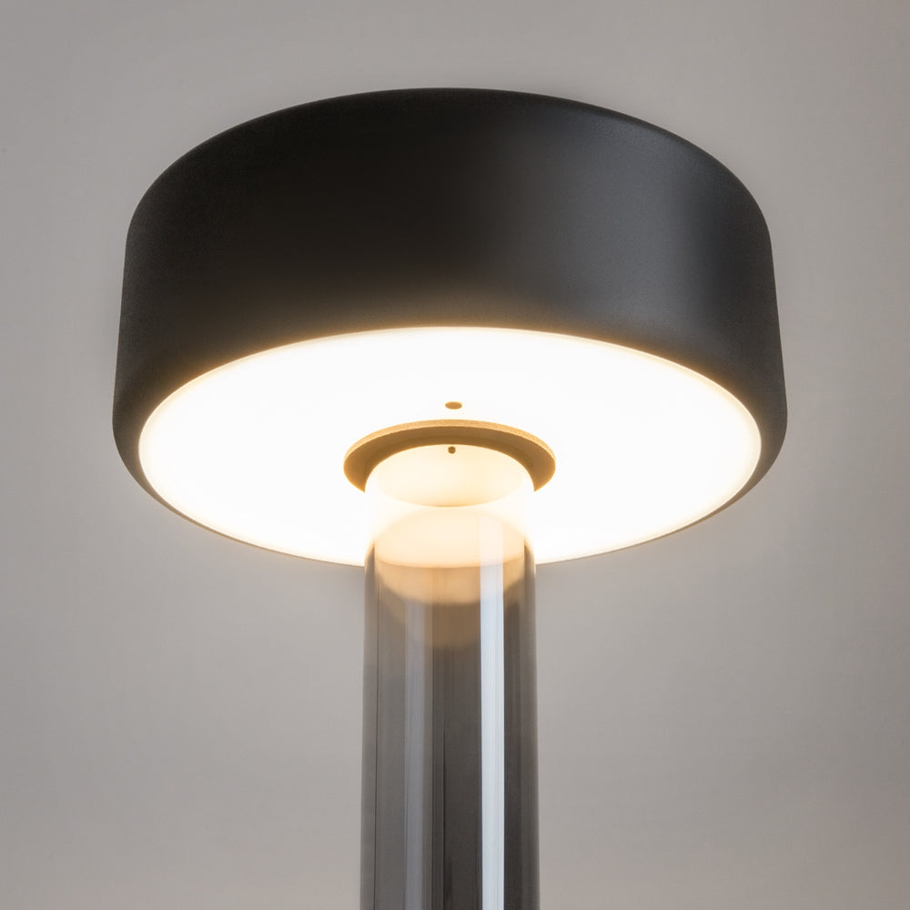 Maytoni AI Collaboration LED portable table light