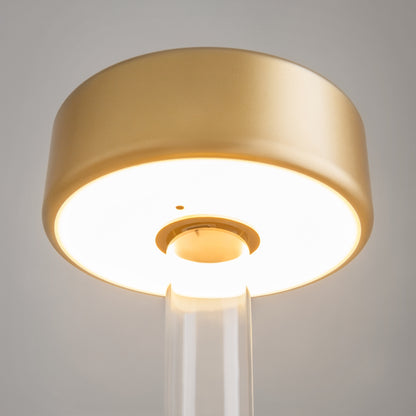 Maytoni AI Collaboration LED portable table light