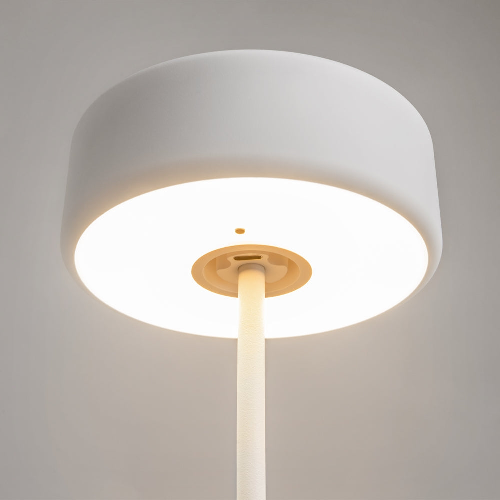 Maytoni AI Collaboration LED portable table light