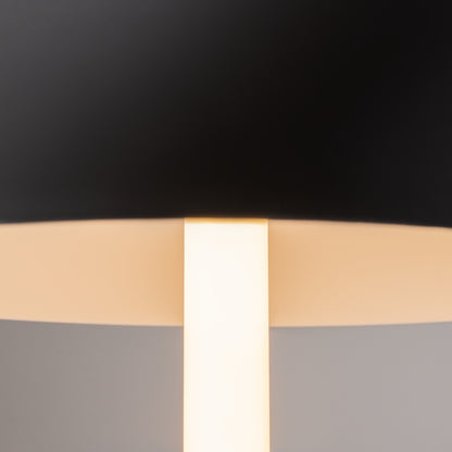 Maytoni Ray LED table light