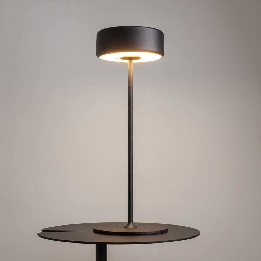 Maytoni AI Collaboration LED portable table light