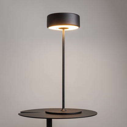 Maytoni AI Collaboration LED portable table light