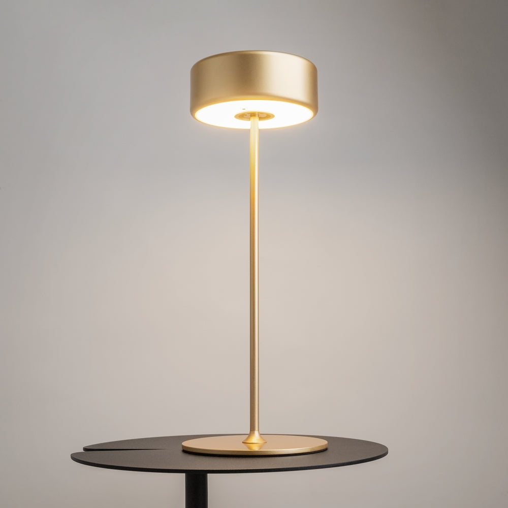 Maytoni AI Collaboration LED portable table light