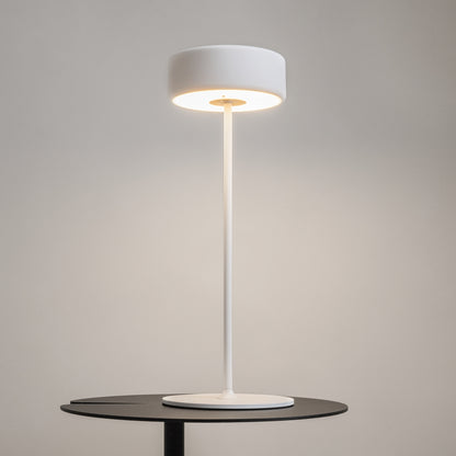Maytoni AI Collaboration LED portable table light