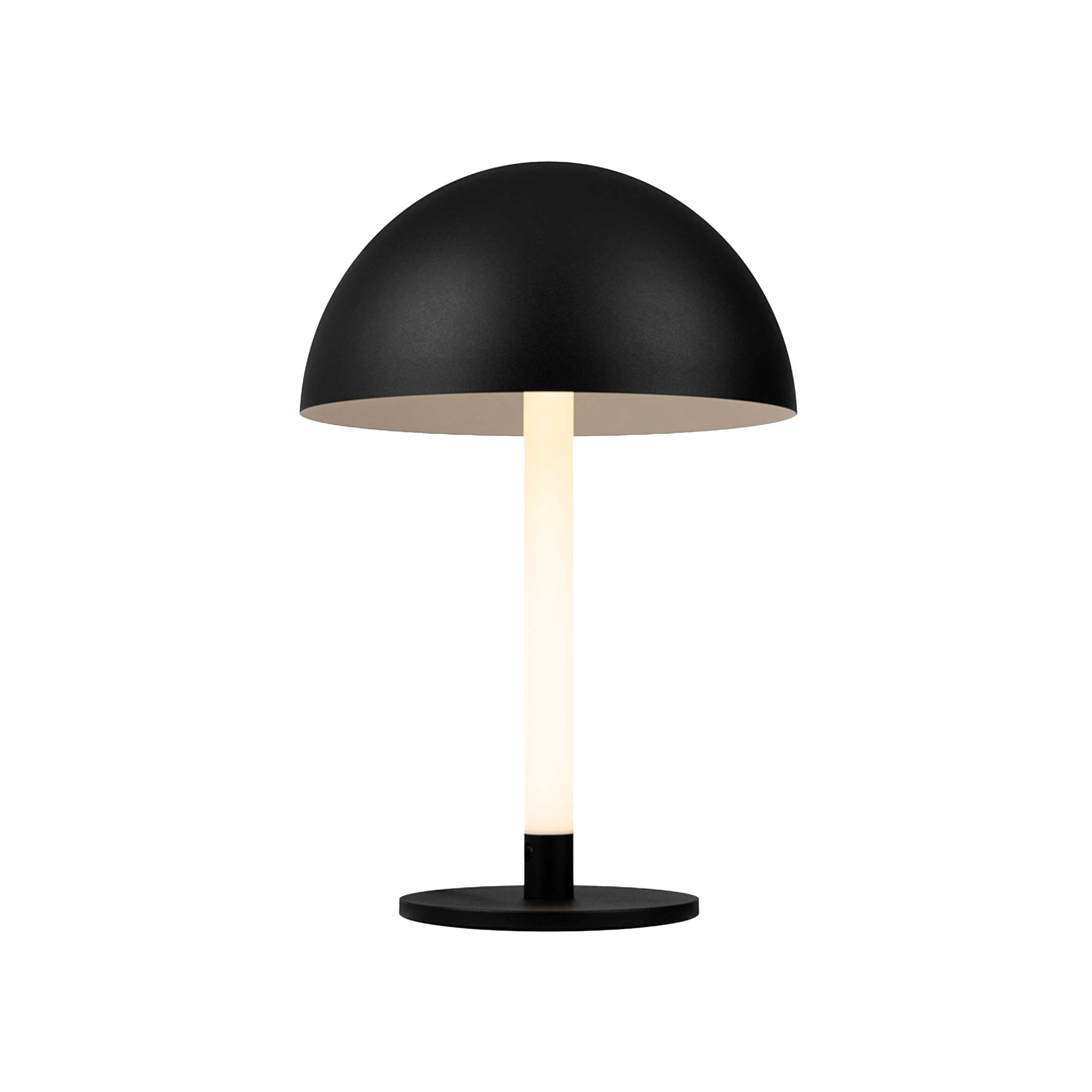 Maytoni Ray LED table light