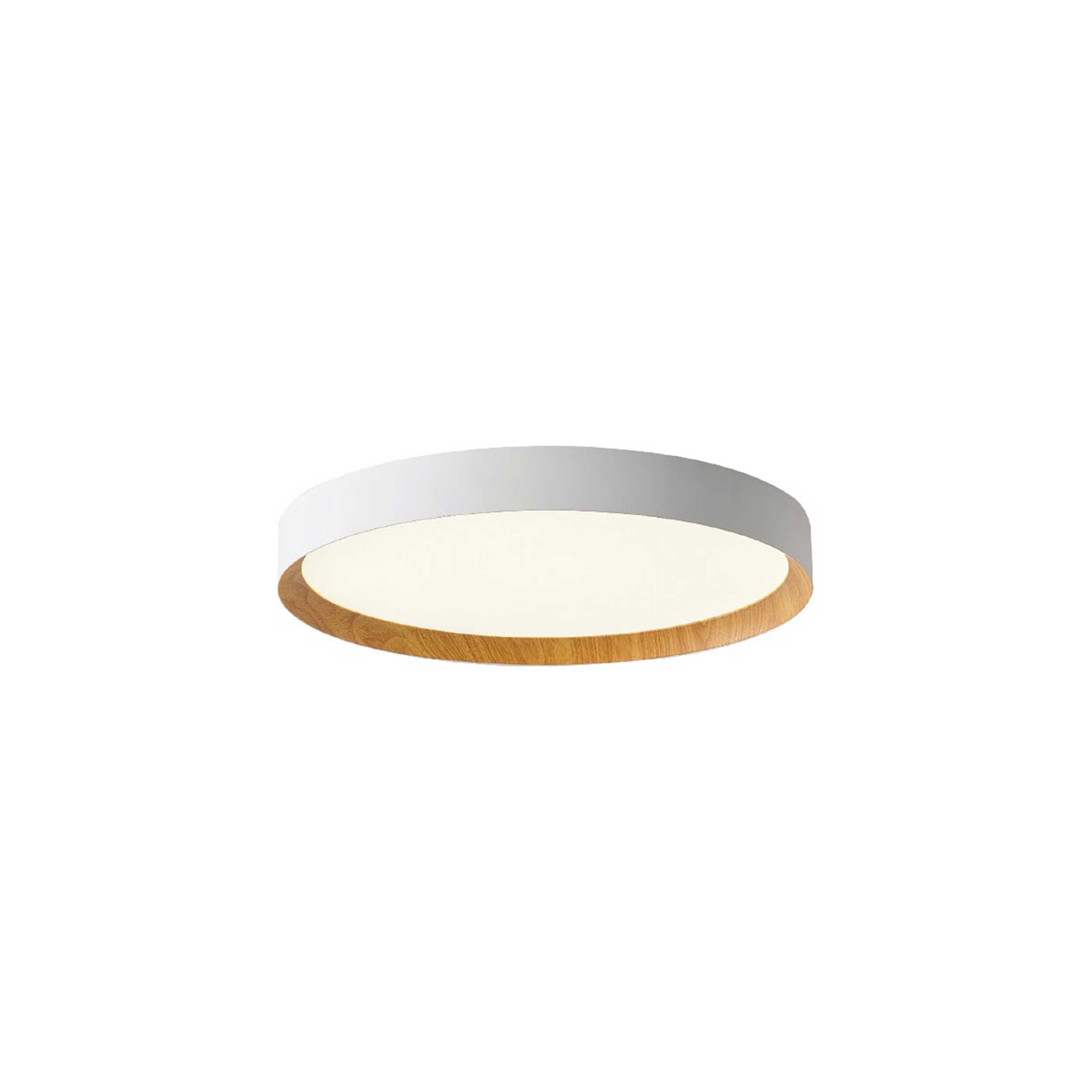 VK Light Eleso LED Ceiling light