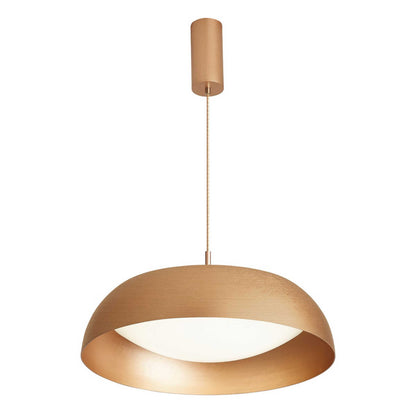 VK Light Enya LED Pendant light