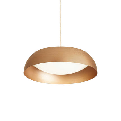 VK Light Enya LED Pendant light