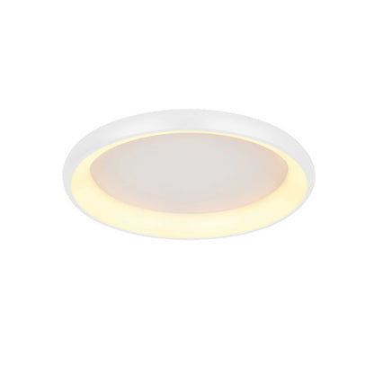 VK Light Hart LED Ceiling light