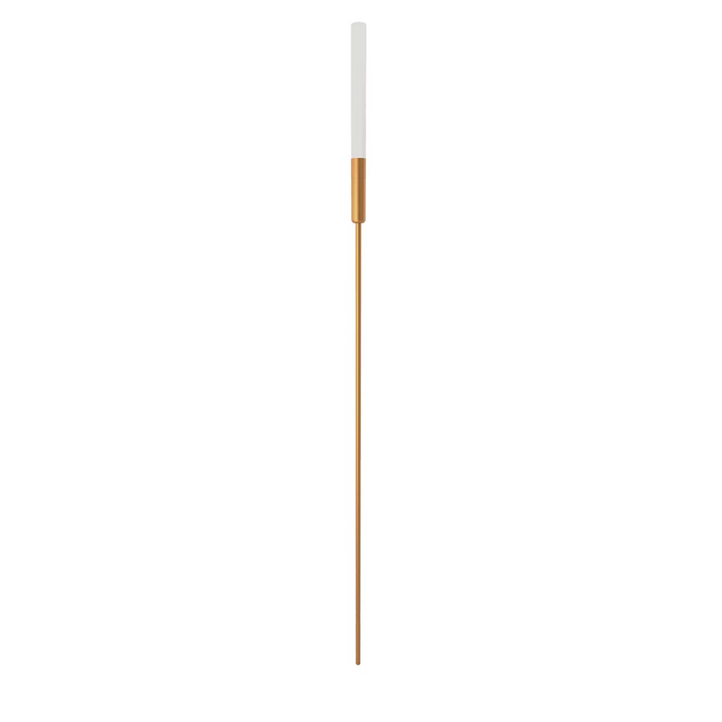 VK Light Mim LED Pole light IP65